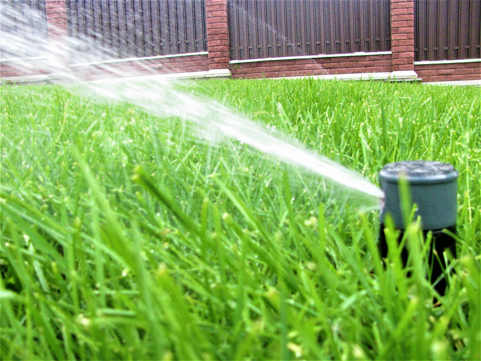 Автополив газона – пустая трата денег или вложения в красоту приусадебного участка.