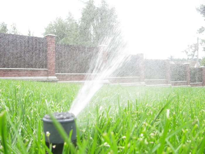 Автополив газона – пустая трата денег или вложения в красоту приусадебного участка.